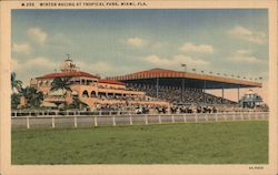 Winter Racing at Tropical Park Miami, FL Postcard Postcard Postcard