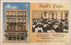 Sholl's Cafes Postcard