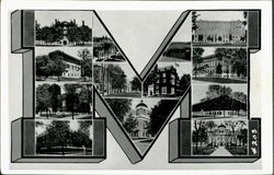 Michigan State Postcard Postcard