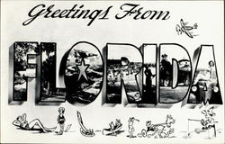 Greetings From Florida Postcard Postcard