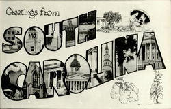 Greetings From South Carolina Postcard Postcard