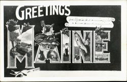 Greetings From Maine Postcard Postcard