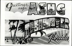 Greetings From A.S.H.C. Clearwater Florida Postcard Postcard