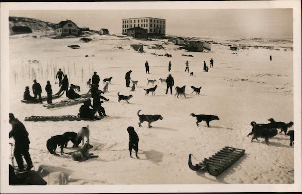 Sled Dogs, Grenfell Mission Orphanage and Residence St. Anthony, NL ...