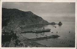 Avalon Catalina Island Postcard