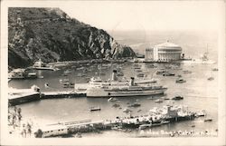 Beautiful Avalon Bay Postcard