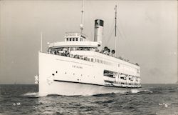 Cruise Ship Catalina Cruise Ships Postcard Postcard Postcard