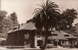 The Lodge Golden Gate Park Postcard