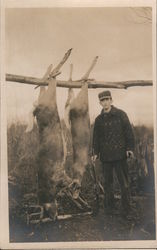 Man with Rifle after Deer Hunt Postcard