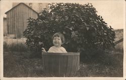 Baby in a Bushel Basket Postcard