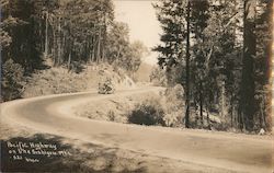 Pacific Highway on the Siskiyou Mountains California Postcard Postcard Postcard