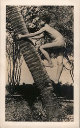 Boy Climbing Palm Tree Hawaii Postcard Postcard Postcard