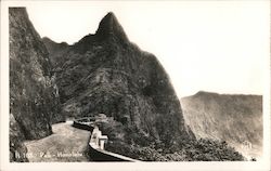 Pali Honolulu Postcard