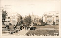 Looking west to Denny Hall U of W Campus Postcard