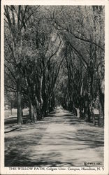 The Willow Path Colgate University Campus Postcard