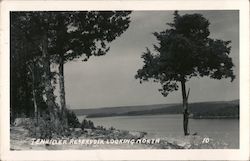 Tenkiller Reservoir Looking North Gore, OK Postcard Postcard Postcard