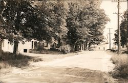 Tree Lined Street Scene Round Pond, ME F.W. Tuttle Photo Postcard Postcard Postcard