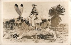 Cowgirl Riding Huge Jackrabbit West Texas Postcard