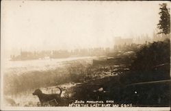 South Dock After the Last Boat Had Gone - Porcupine Bush Fire Disaster Postcard