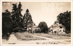 Experimental Gardens and Home of Luther Burbank Santa Rosa, CA Postcard Postcard Postcard