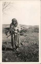 Elderly Native American Woman Gathering Firewood Native Americana Postcard Postcard Postcard