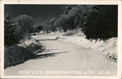 Winter in San Bernardino Mts. Postcard