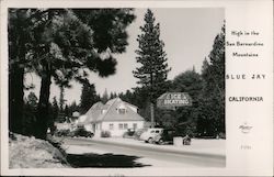 High in the San Bernardino Mountains Postcard