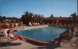 Lewis Palm Park Motel Postcard