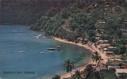 Scenic View Rockley Bay, Tobago Caribbean Islands Postcard Postcard Postcard