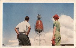 Pineapple Water Tower at Honolulu Postcard