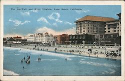 The Sea-Wall and Hotel Virginia Long Beach, CA Postcard Postcard Postcard