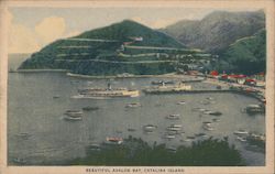 Beautiful Avalon Bay Postcard