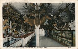 Interior of the Old Buckhorn Saloon, Now the Famous Buckhorn Curio Store Postcard