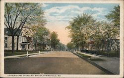 Looking East on Walnut Street Postcard