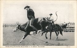 Frank Phillips Riding Wild Steer - F. P. Ranch Bartlesville, OK Postcard Postcard Postcard