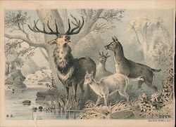 Deer at Stream: Dr. Fenner's Capitol Bitters Trade Card