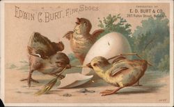 Chicks and Egg: E.D. Burt & Co. Brooklyn, NY Trade Cards Trade Card Trade Card Trade Card