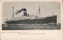 "Tunisian", Allan State Line Steamers Postcard Postcard Postcard