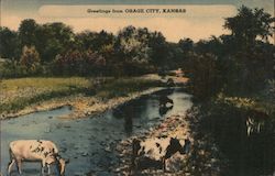 Greetings From Osage City, Kansas Postcard Postcard Postcard