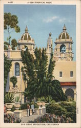 A Semi-Tropical Nook - San Diego Exposition, California Postcard Postcard Postcard