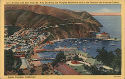 Avalon and Bay from Mt. Ada Showing the Wrigley Residence and in the Distance the Famous Casino Postcard