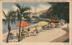 The Beach in front of Hotel St. Catherine Postcard