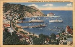 Picturesque Bay of Avalon Postcard