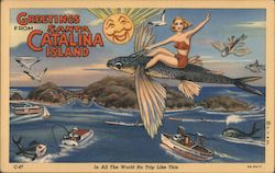 Greetings from Santa Catalina Island Los Angeles, CA Postcard Postcard Postcard