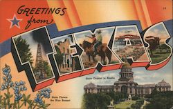 Greetings from Texas, State Flower and Capitol Postcard