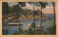 A GLimpse of Avalon Bay Postcard