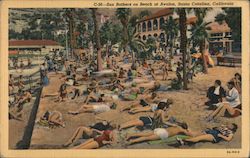 Sun Bathers on Beach at Avalon Postcard