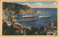 Picturesque Bay of Avalon Postcard