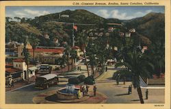 Crescent Avenue, Avalon Postcard