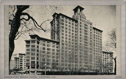 Edgewater Beach Hotel Chicago, IL Postcard Postcard Postcard